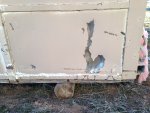 IMG_1944.jpeg