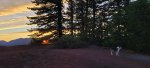 20250927_184958.jpg