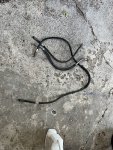 IMG_6939.jpeg
