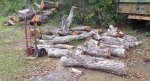 Free Logs 1.jpeg