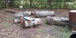 Free Logs 1b.jpeg