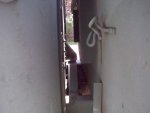 IMG00419.jpg