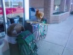 chickenbike.jpg