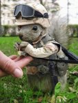 squirrel soldier.jpg
