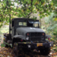 yota