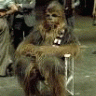 Tactical_Wookie